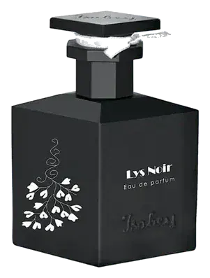 Isabey lys noir