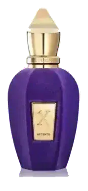 Xerjoff V Accento