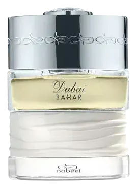Spirit of Dubai Bahar