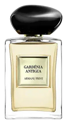 Giorgio Armani Armani Privé Gardénia Antigua