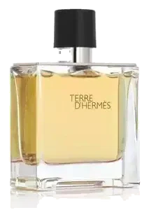 Hermès Terre dHermes