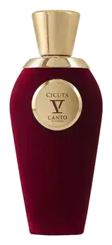 V Canto Cicuta