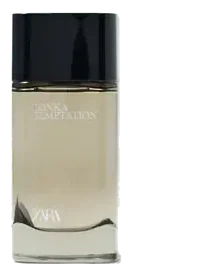 Zara Tonka Temptation