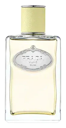 Prada Les Infusions de Gingembre