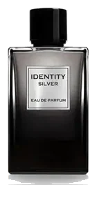 Ga-De Identity Silver Pour Homme