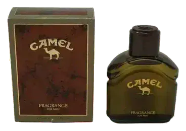 Dolce & Gabbana Camel Fragrance Duft for Men