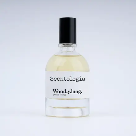 Scentologia Wood.y².lang.